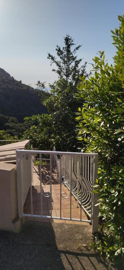 Apartament A Tana Di A Volpe Ville-di-Pietrabugno Zewnętrze zdjęcie